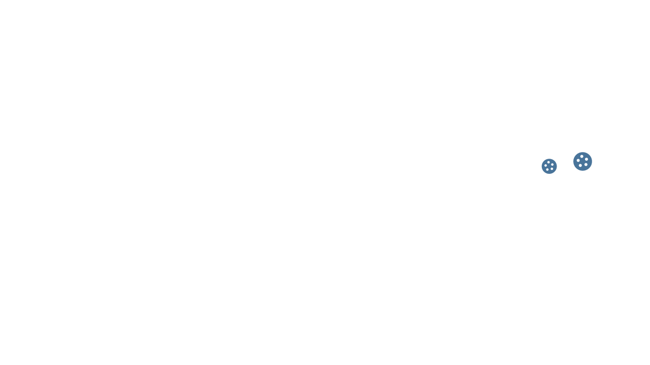 Lights Camera Prospect (1)